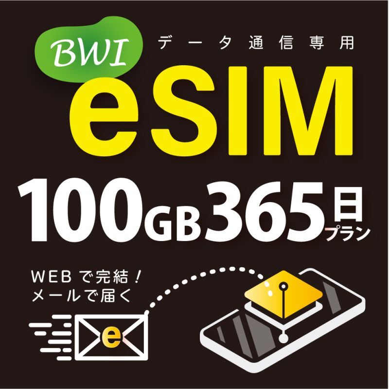 eSIM 3GB 100回線